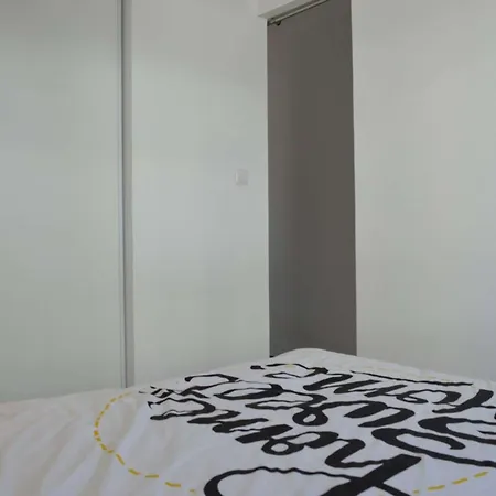 Renove, Climatise A 200m De La Avec Balcon Et Parking Prive - Fr-1-229d-12 フルーリー